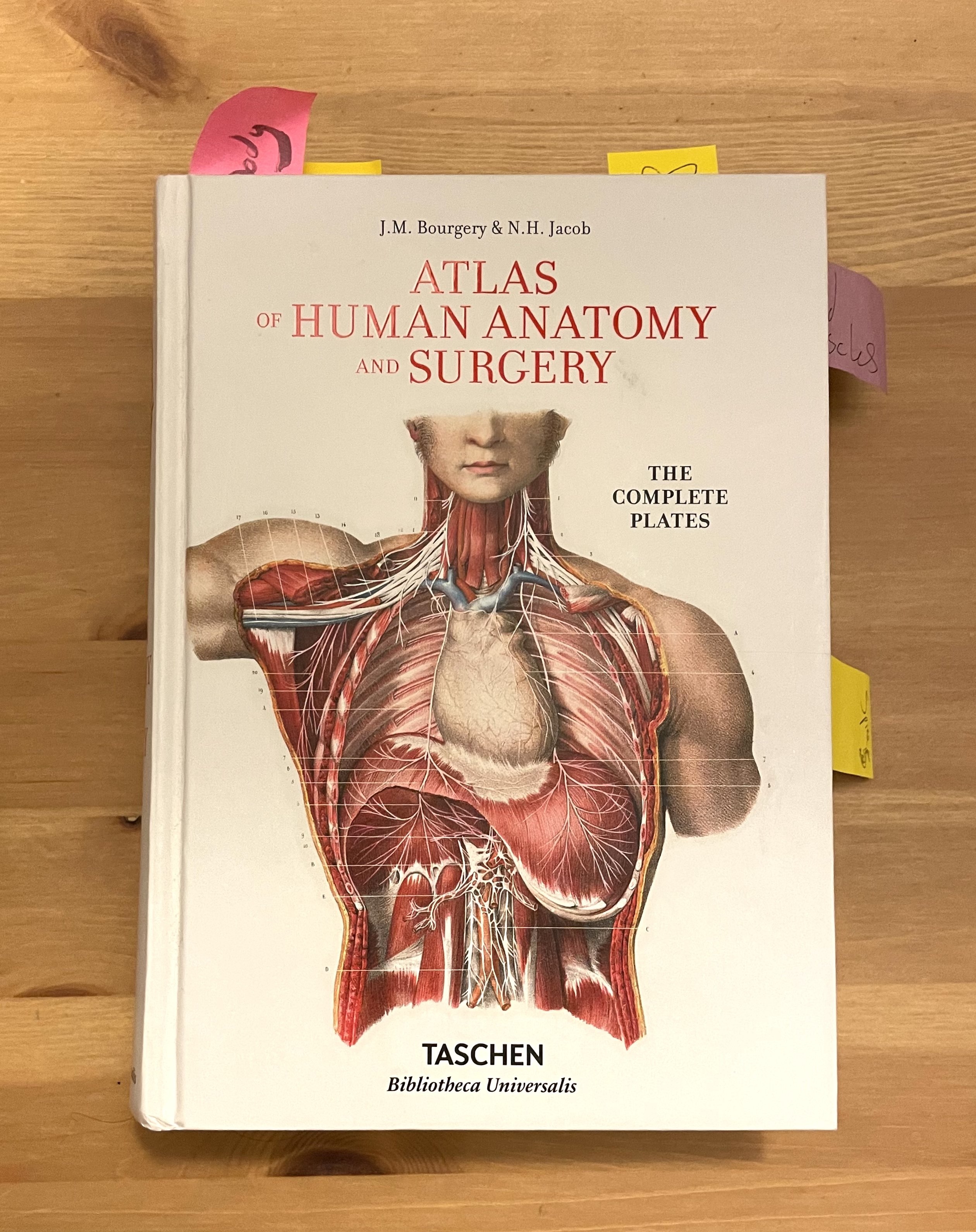 Atlas of Human Anatomy and Surgery - J.M. Bourgery & N.H. Jacob